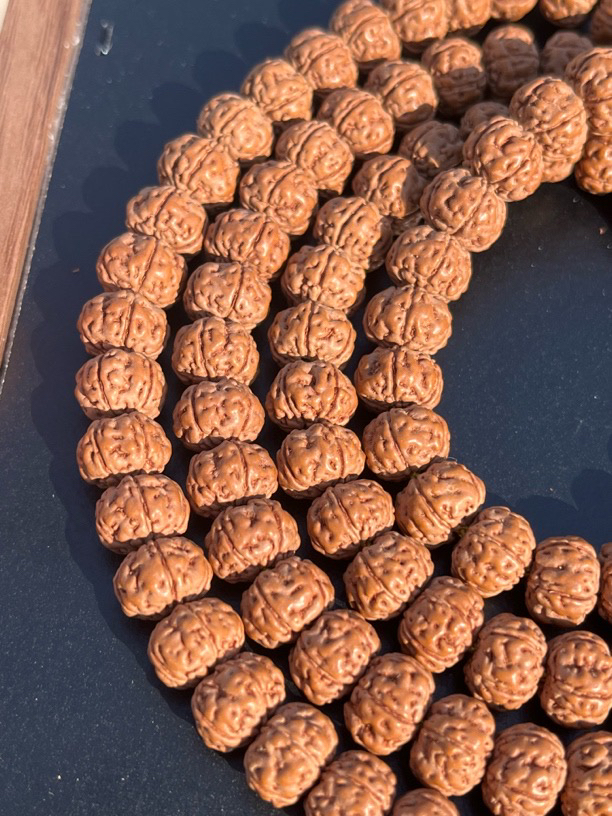 勿里达老树王金刚菩提子