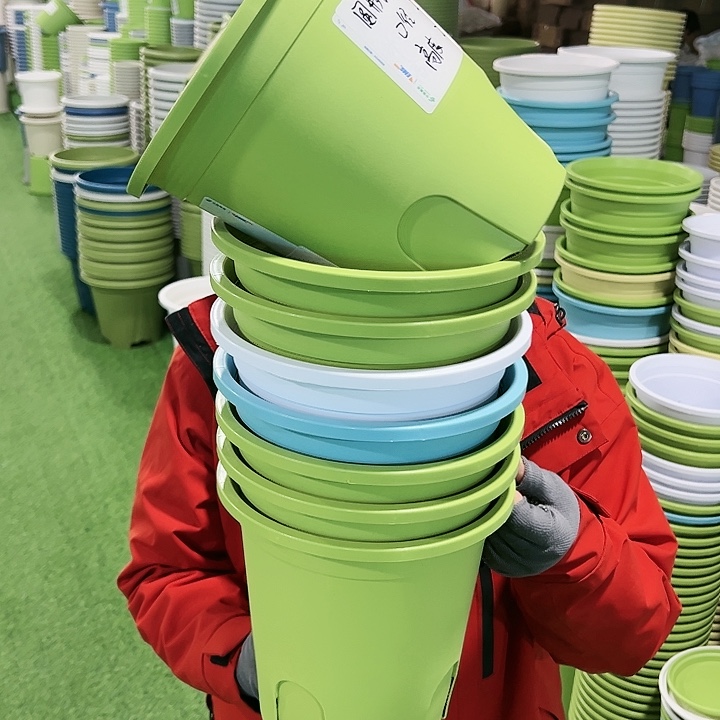 正品圆控口21高21果绿无托8只