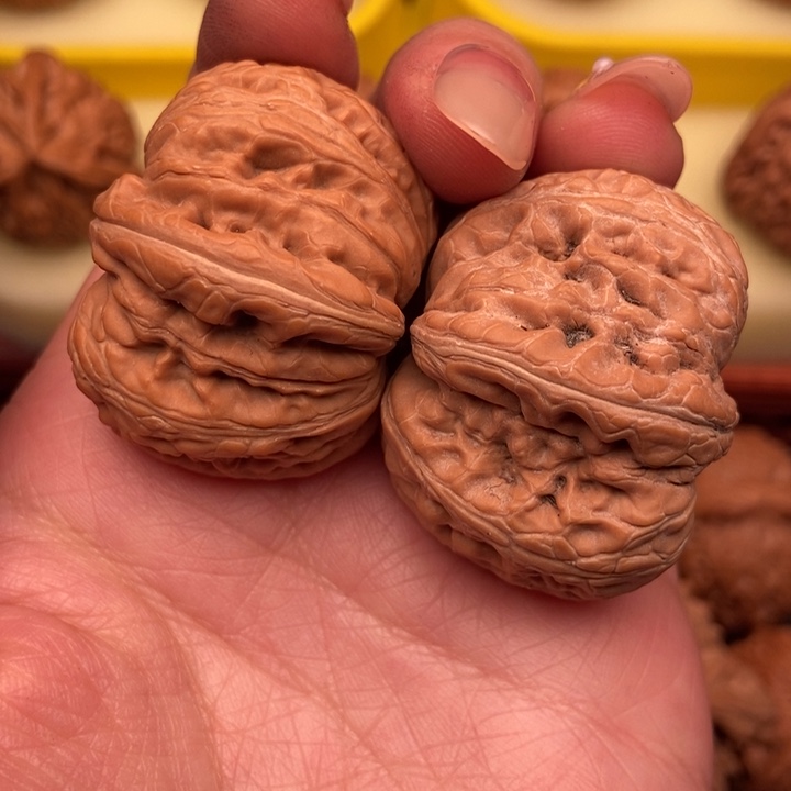 文玩核桃把件w**?39精品老树元宝