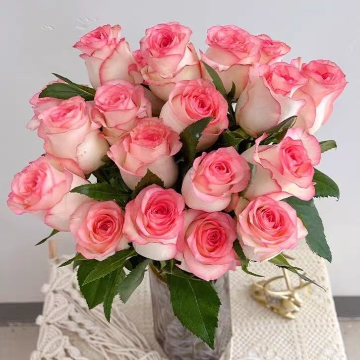 爱莎公主玫瑰鲜花 家用水养鲜切花 两单冷链发货