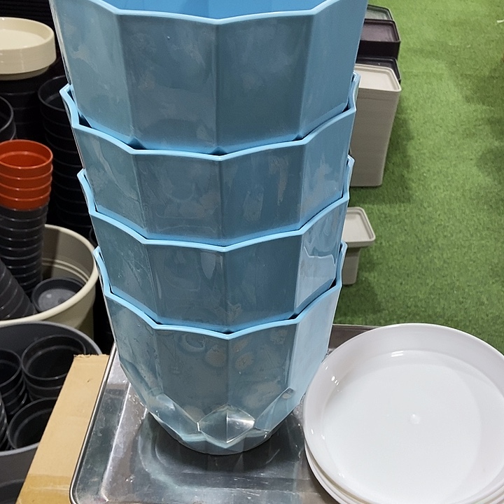 塑料娱**下钻石蓝色口20高19带拖4套