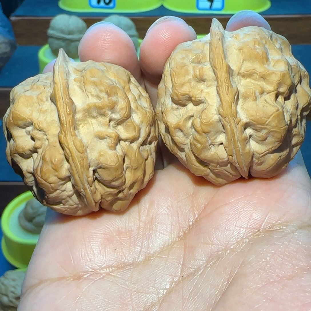 不***动桃核把件七龙珠核桃