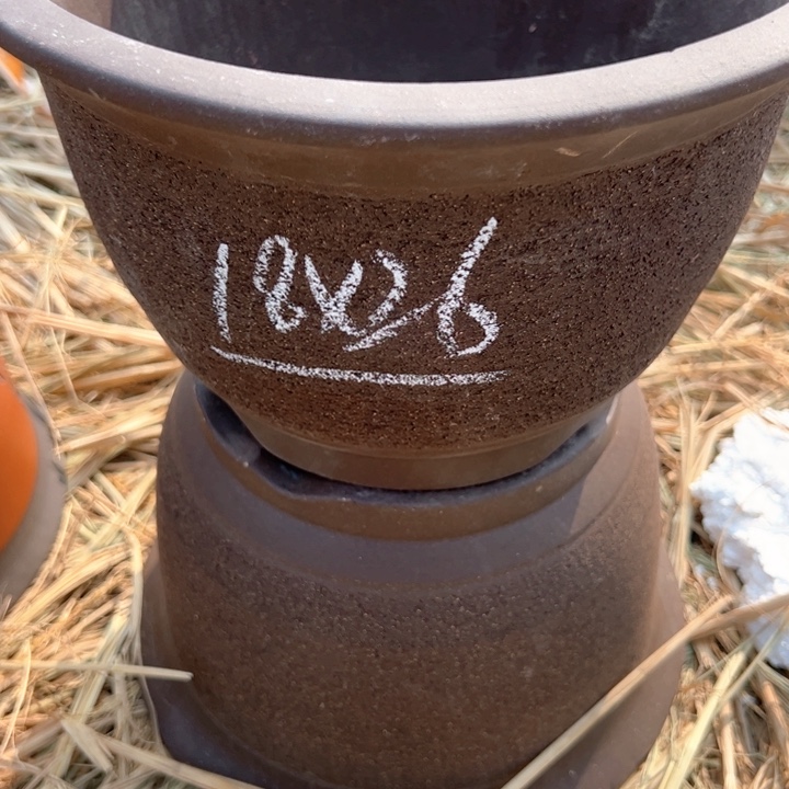 红陶紫砂碗盆口26