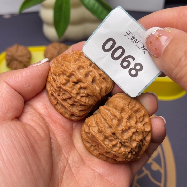 文玩核桃把件G****941三角白68