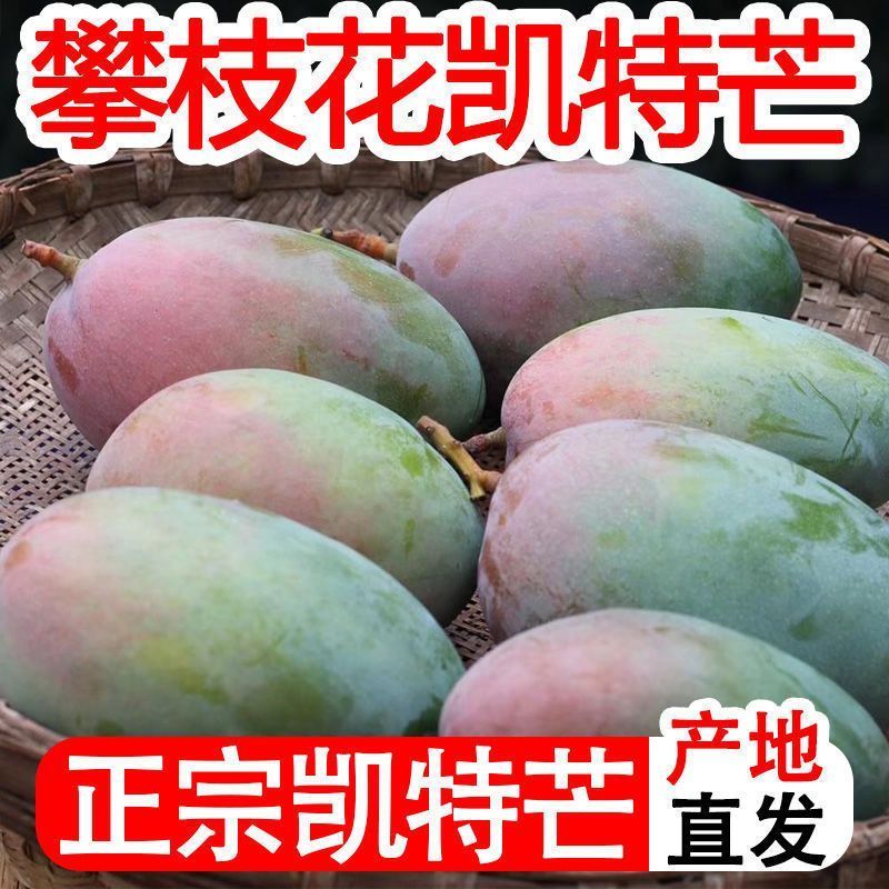 【阳光花城】攀枝花凯特芒果新鲜现摘酸甜多汁当季水果