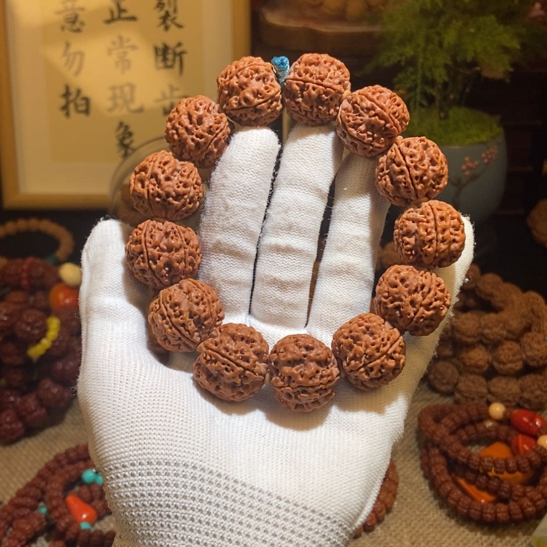 金刚菩提吊坠235原籽