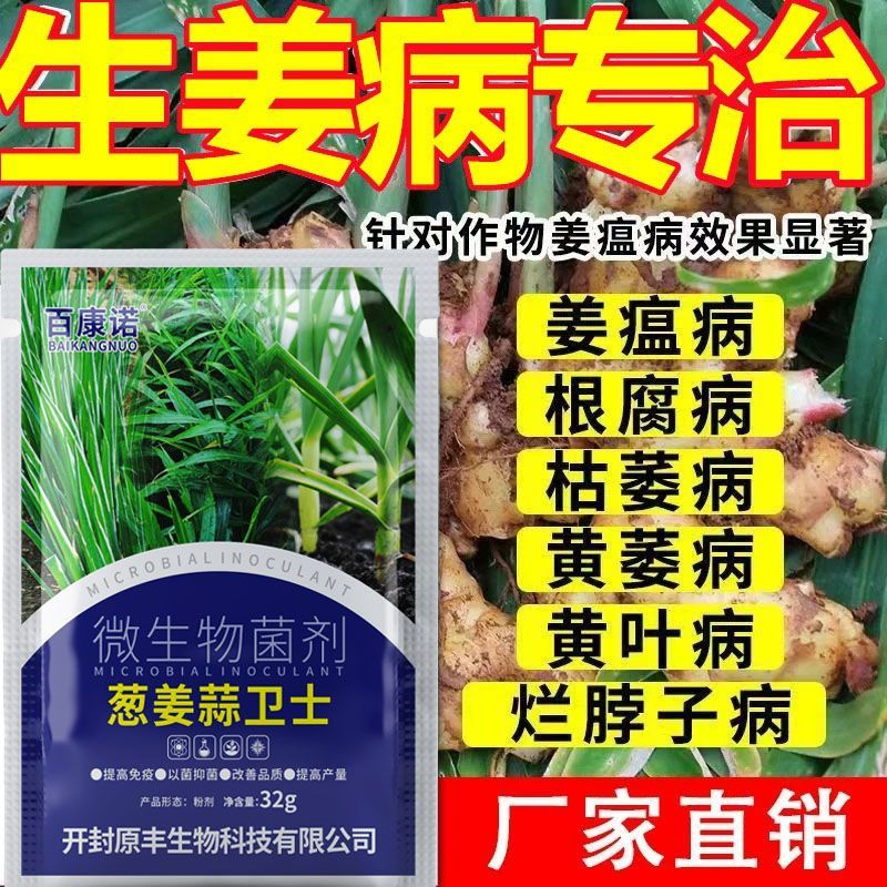 生姜病害专用药姜温病腐烂病炭疽病叶斑病专用剂生姜溃疡病