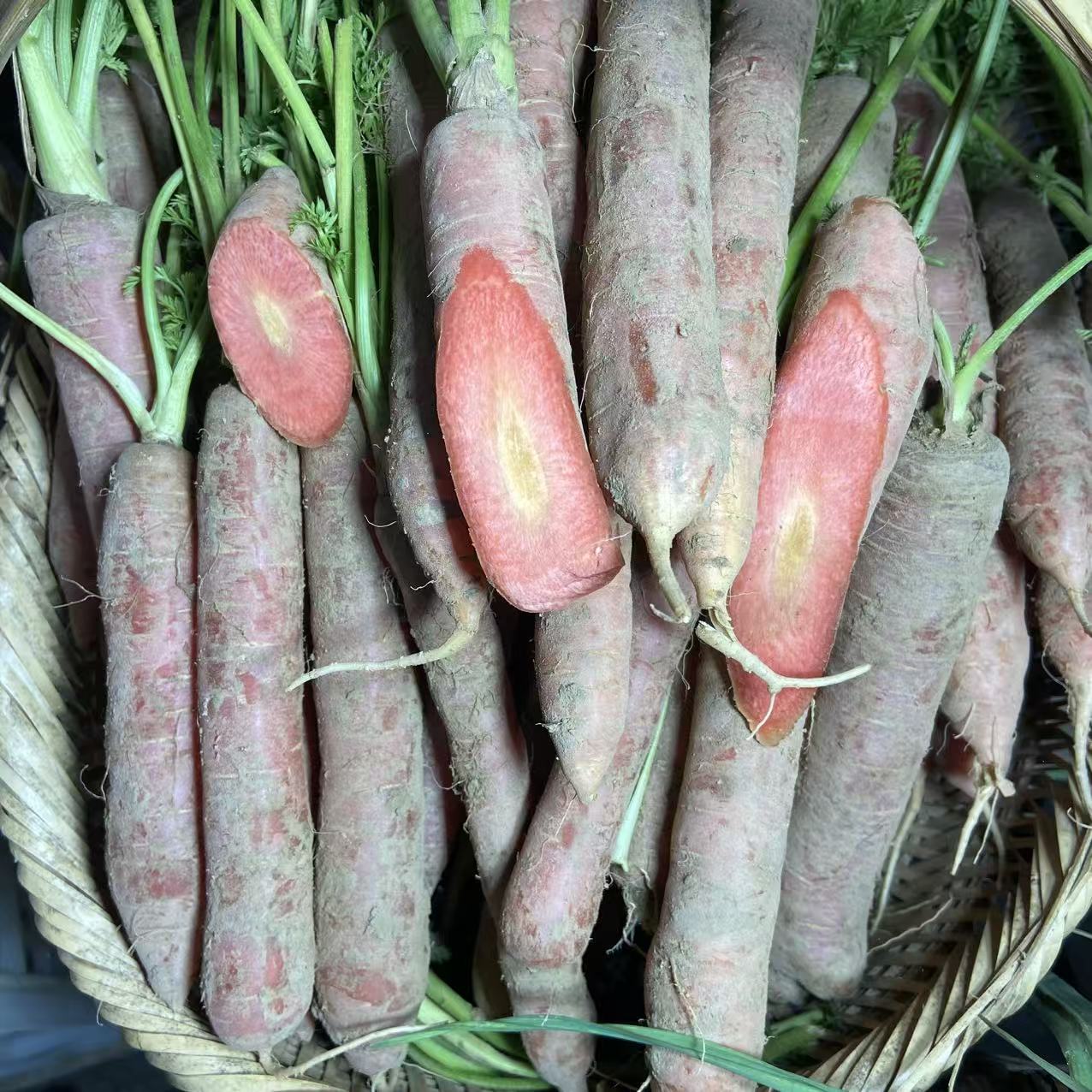 富硒营养胡萝卜 新鲜蔬菜 