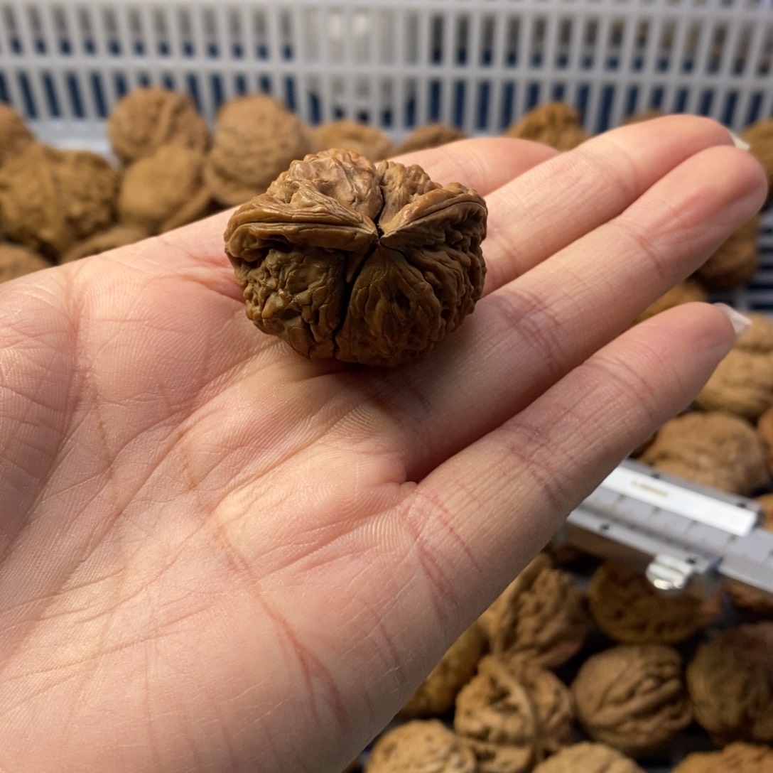 燃***坐文玩核桃吊坠水龙