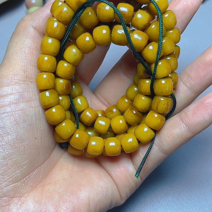 大果紫檀（缅甸花梨）