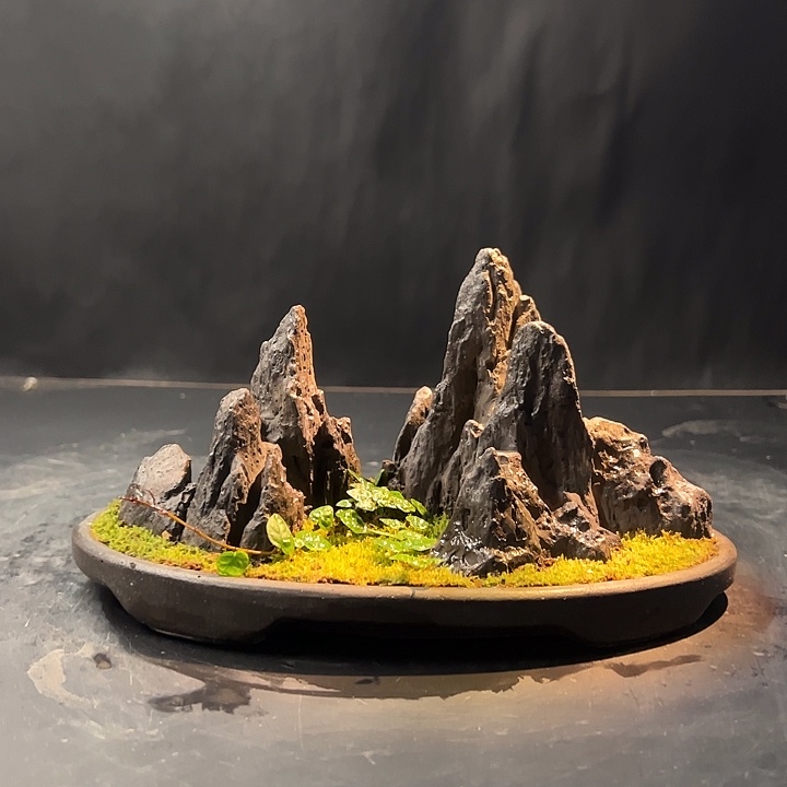 009盆景手工制作景观
