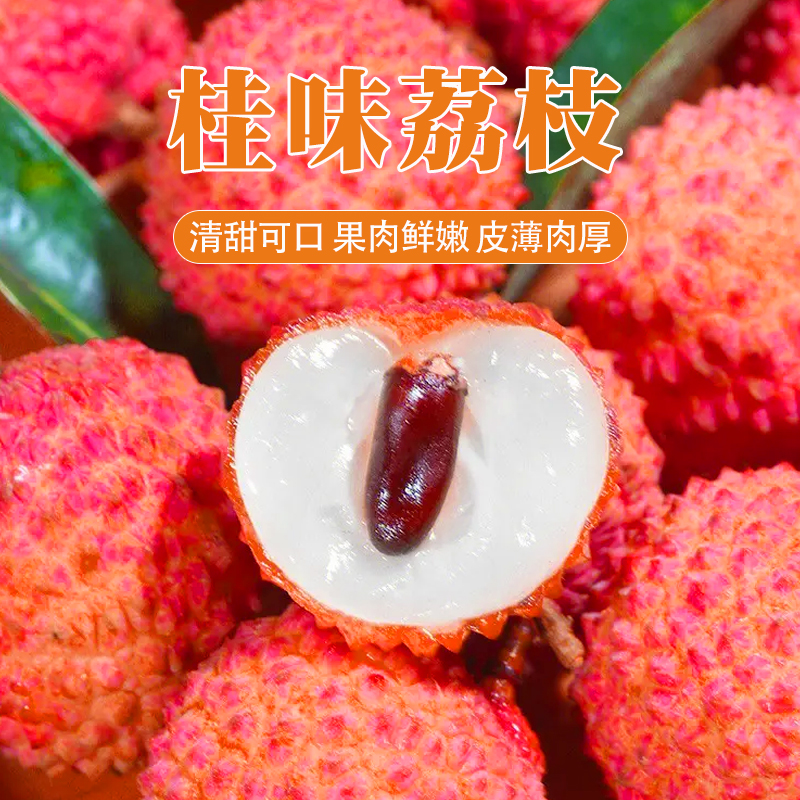 【坏果包赔】广东桂味荔枝净重2斤/5斤