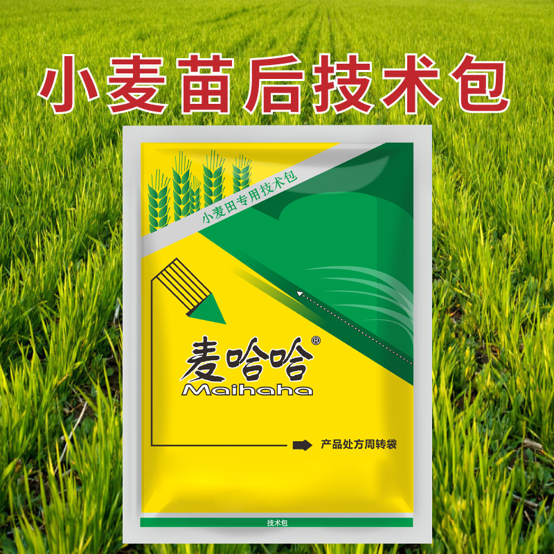 【买一送一】小麦苗后专用不伤苗多元复配水溶叶面肥猪秧秧婆婆纳3