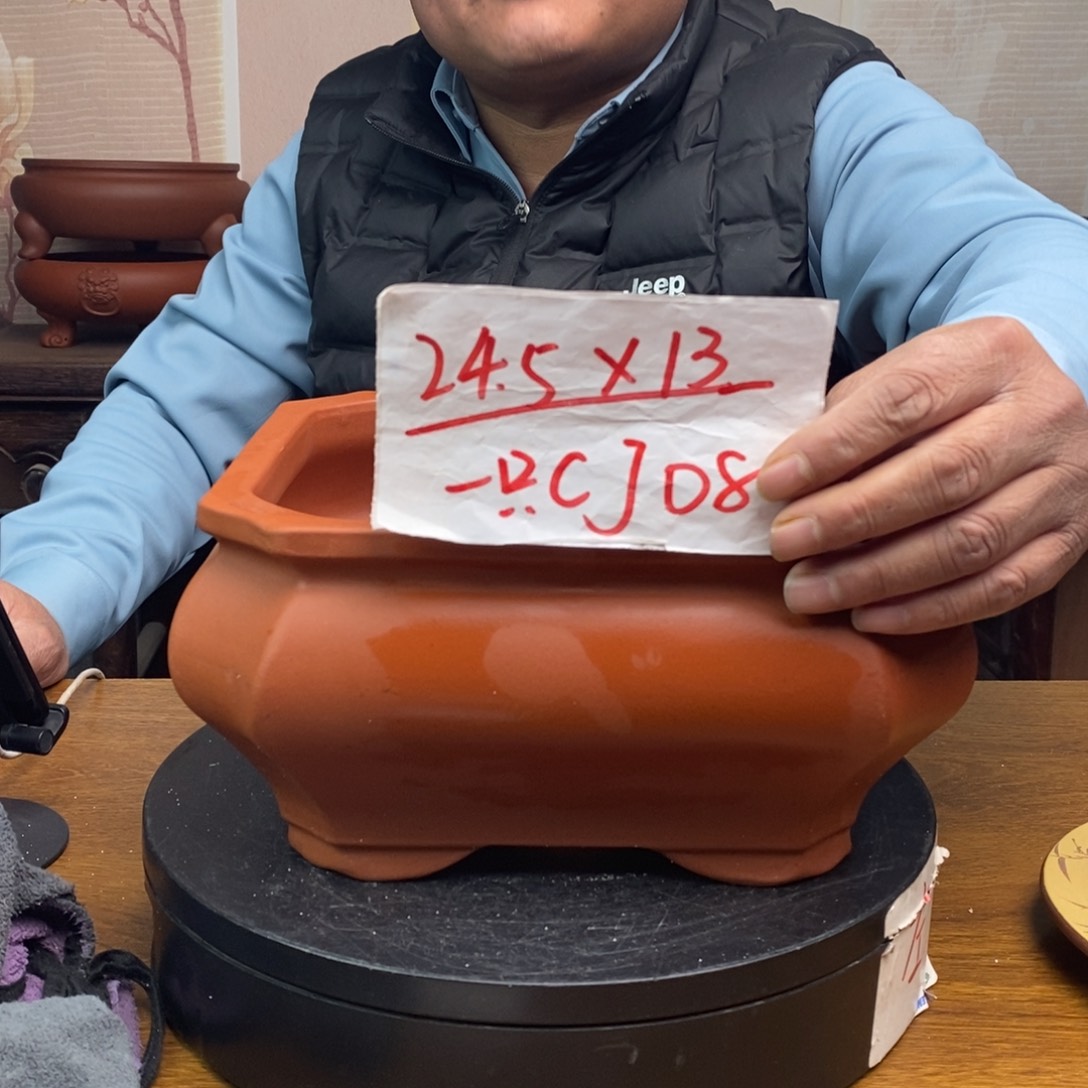 红陶货号一只CJ08
