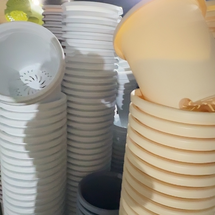 四季7号米黄无托6个口径33