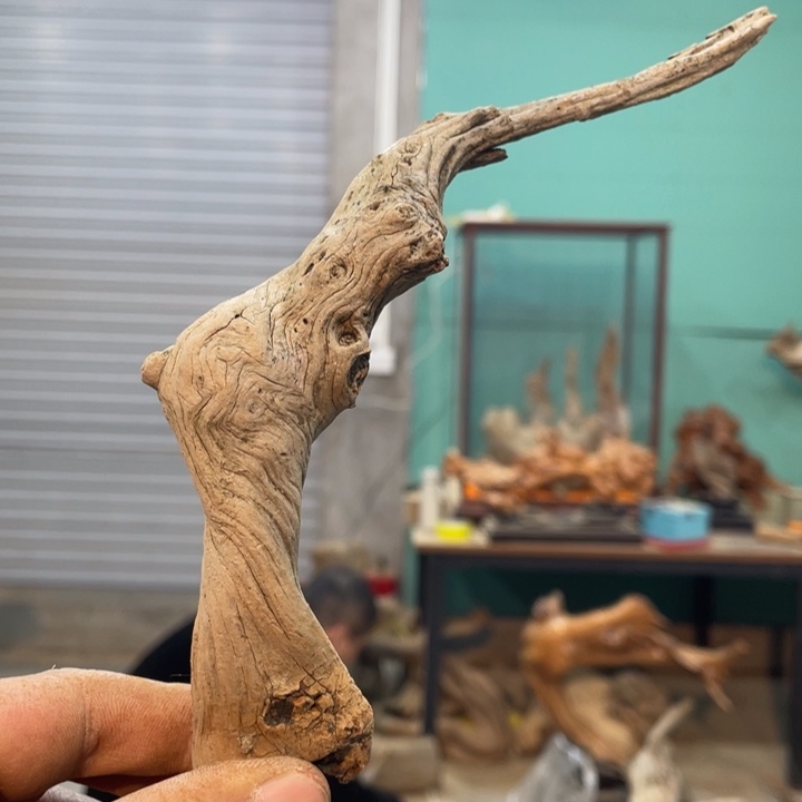 小*逃我们都是好孩子呀