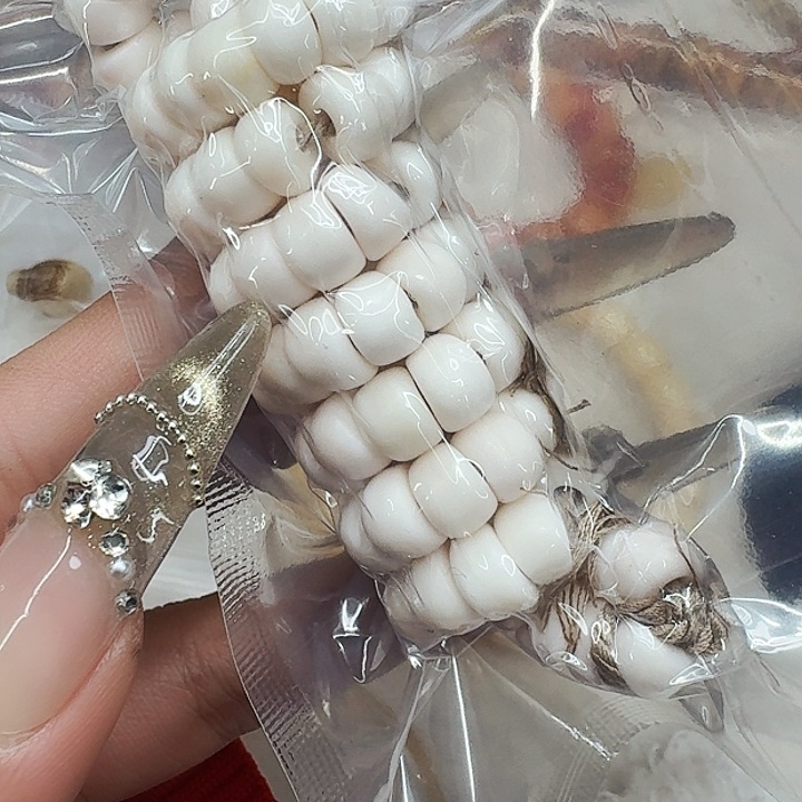 驼骨其他439白驼骨大肠0.8-108