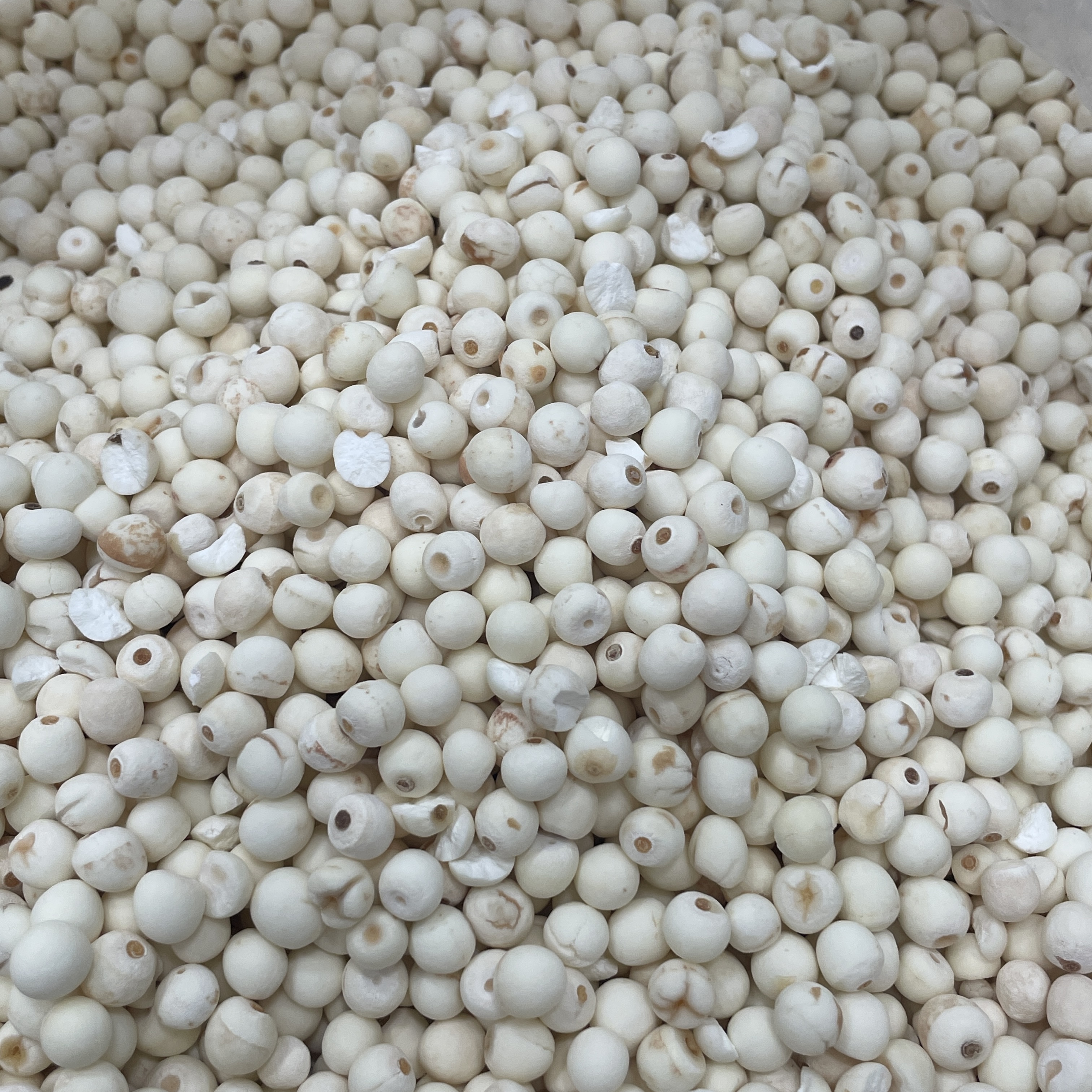 芡实 去皮 原色货 