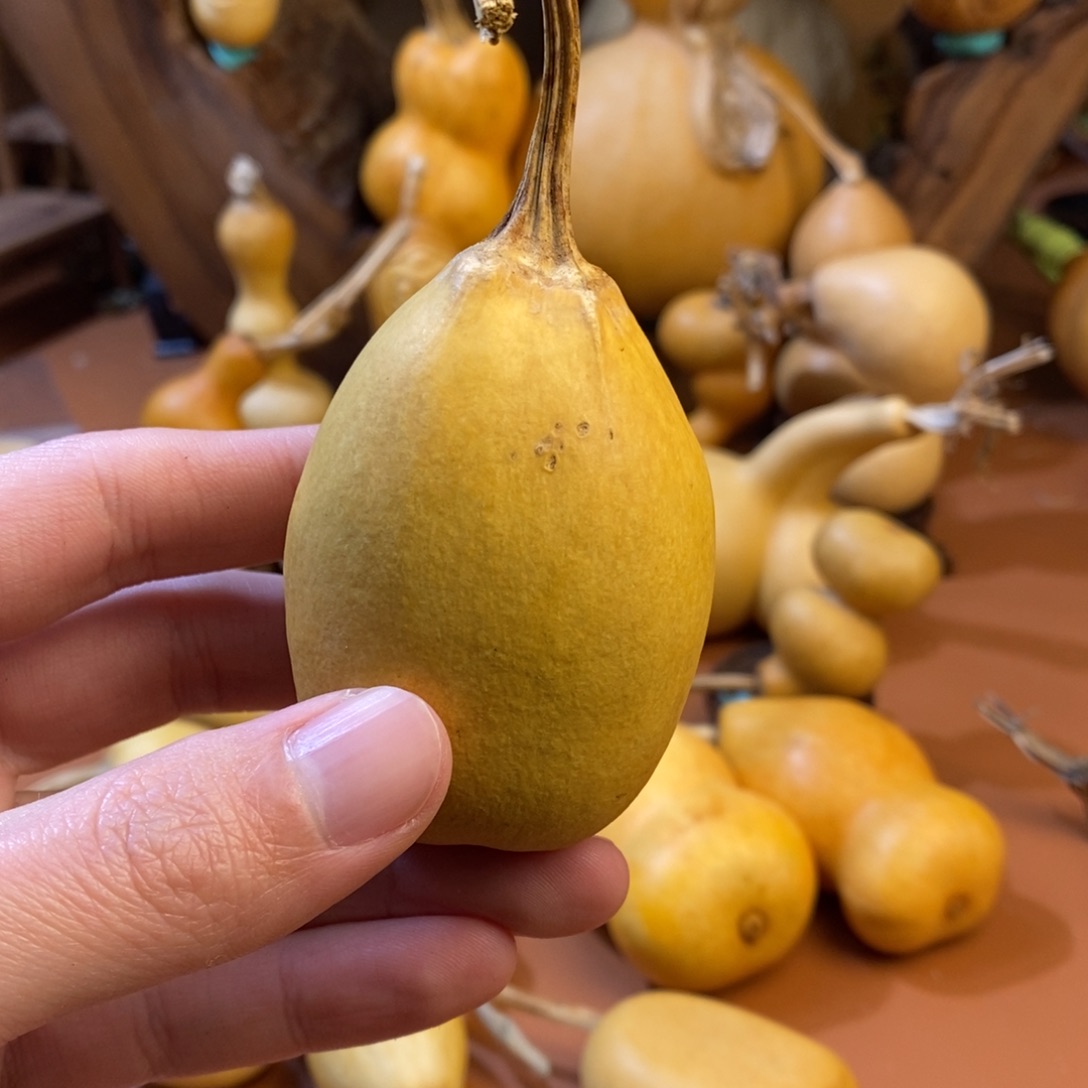 静***艺教练咯教练经理教练