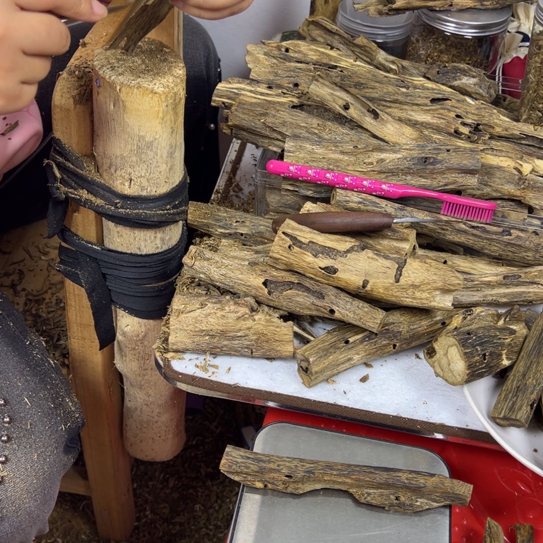 线香奇楠虫漏香24克