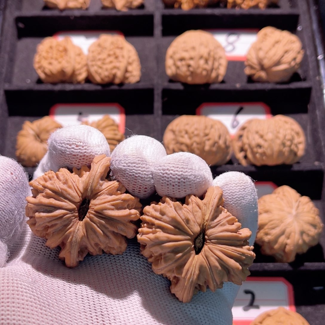 只***ღ全品秦皇岛山地果43