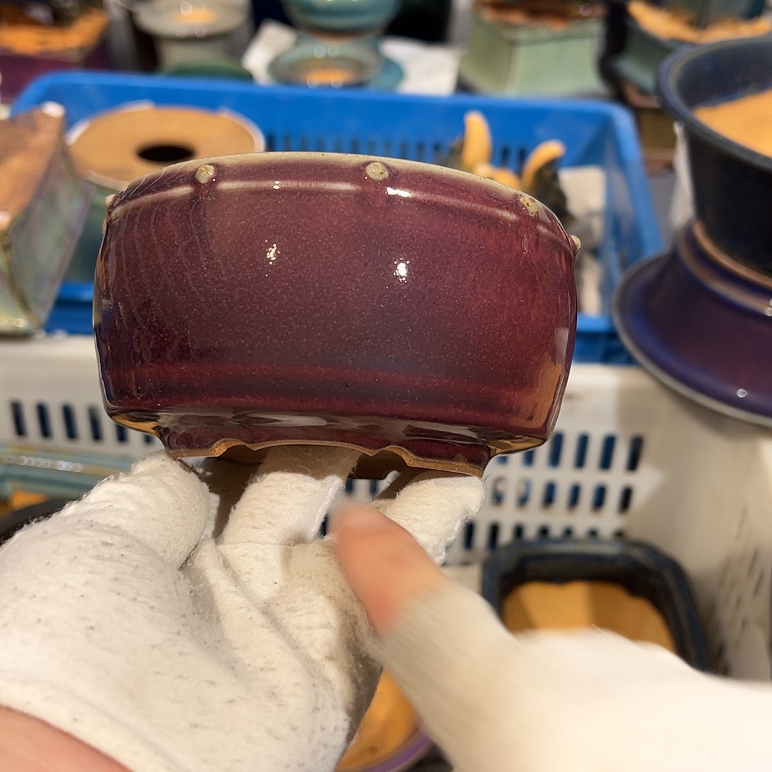 碗觉象原创作品欣赏分享