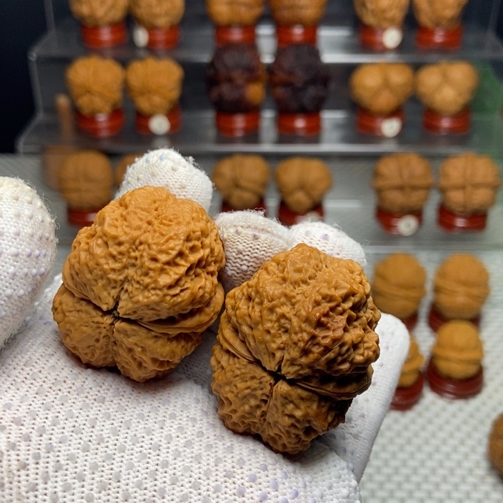 心***风把件文玩核桃古树蚂蚁3