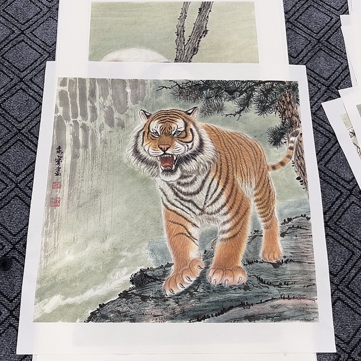 随***安国画徐森宝老师四尺斗方花鸟奇