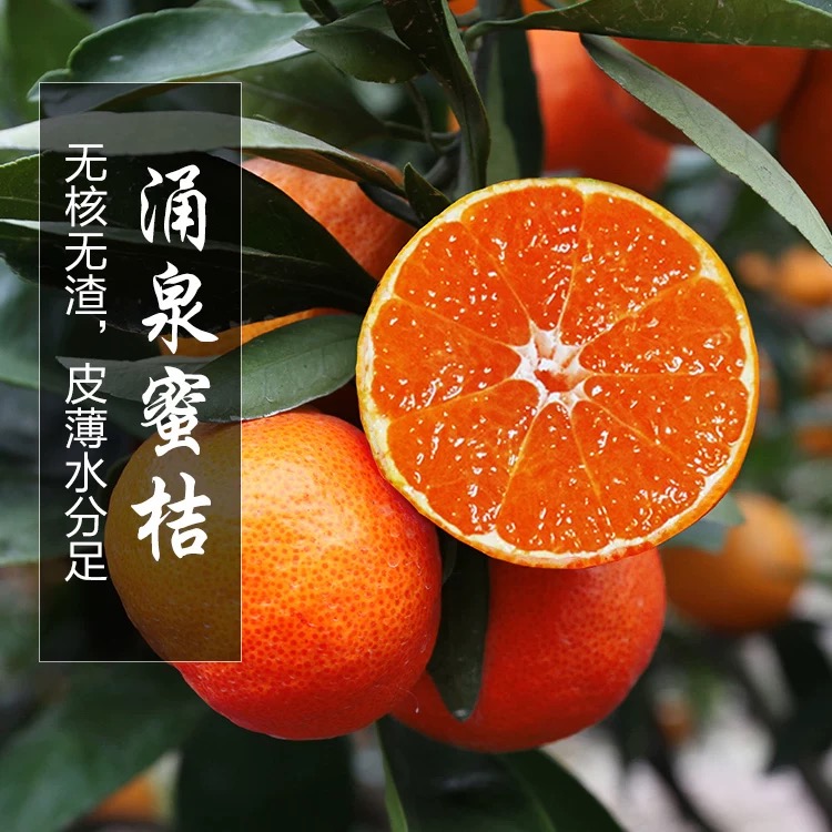 涌泉蜜桔箱重2公斤*1箱