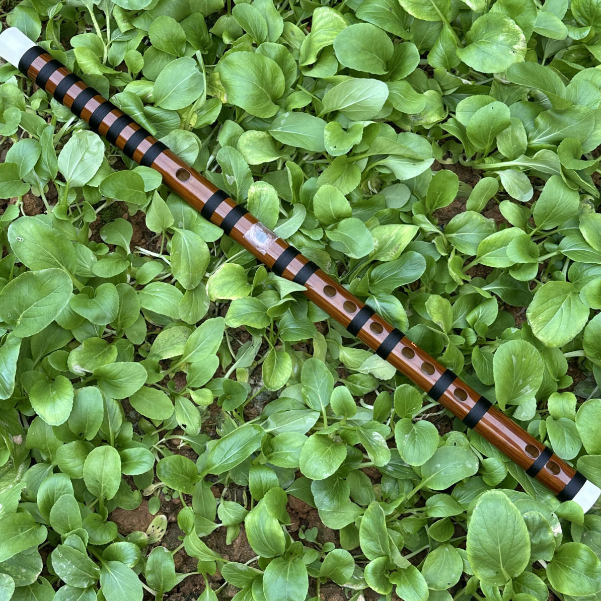 演奏级大漆苦竹笛子古风苦竹乐器初学专业竹笛成人学生f调g横笛