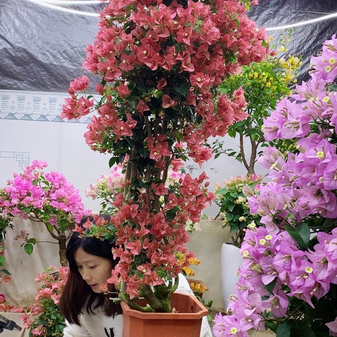 完全开放我要好好学习