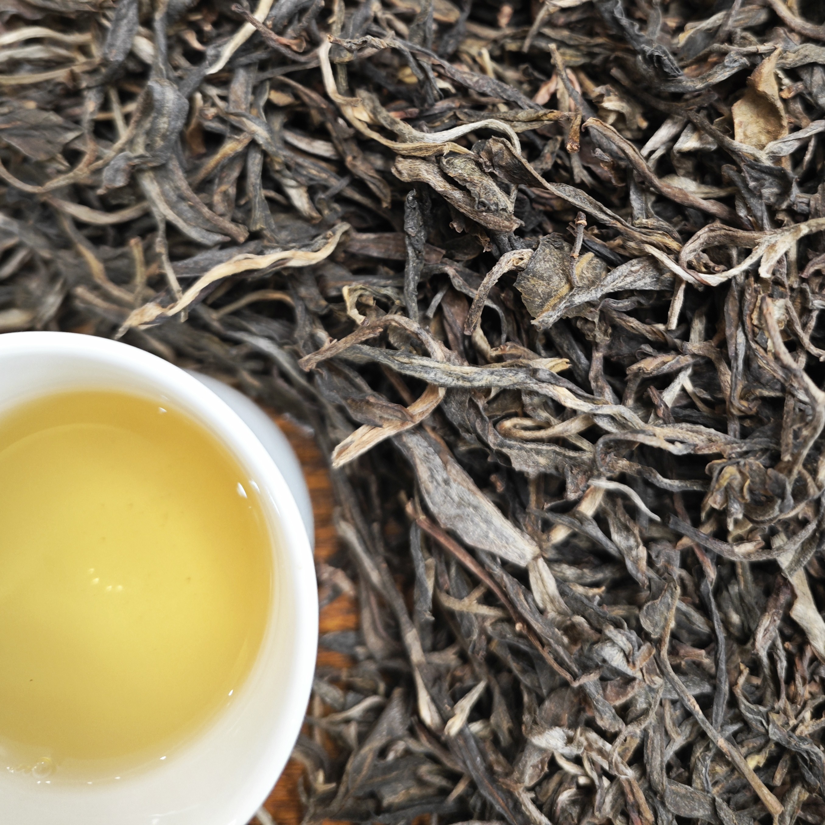 大雪山单株 云南普洱茶生茶大雪山古树单株