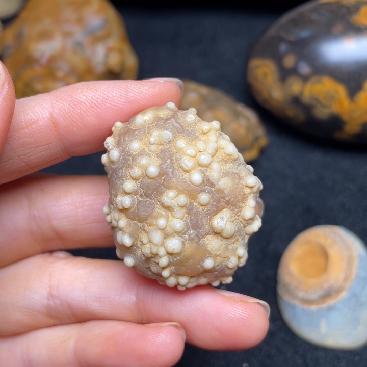 石材九眼页岩钱币石原石188