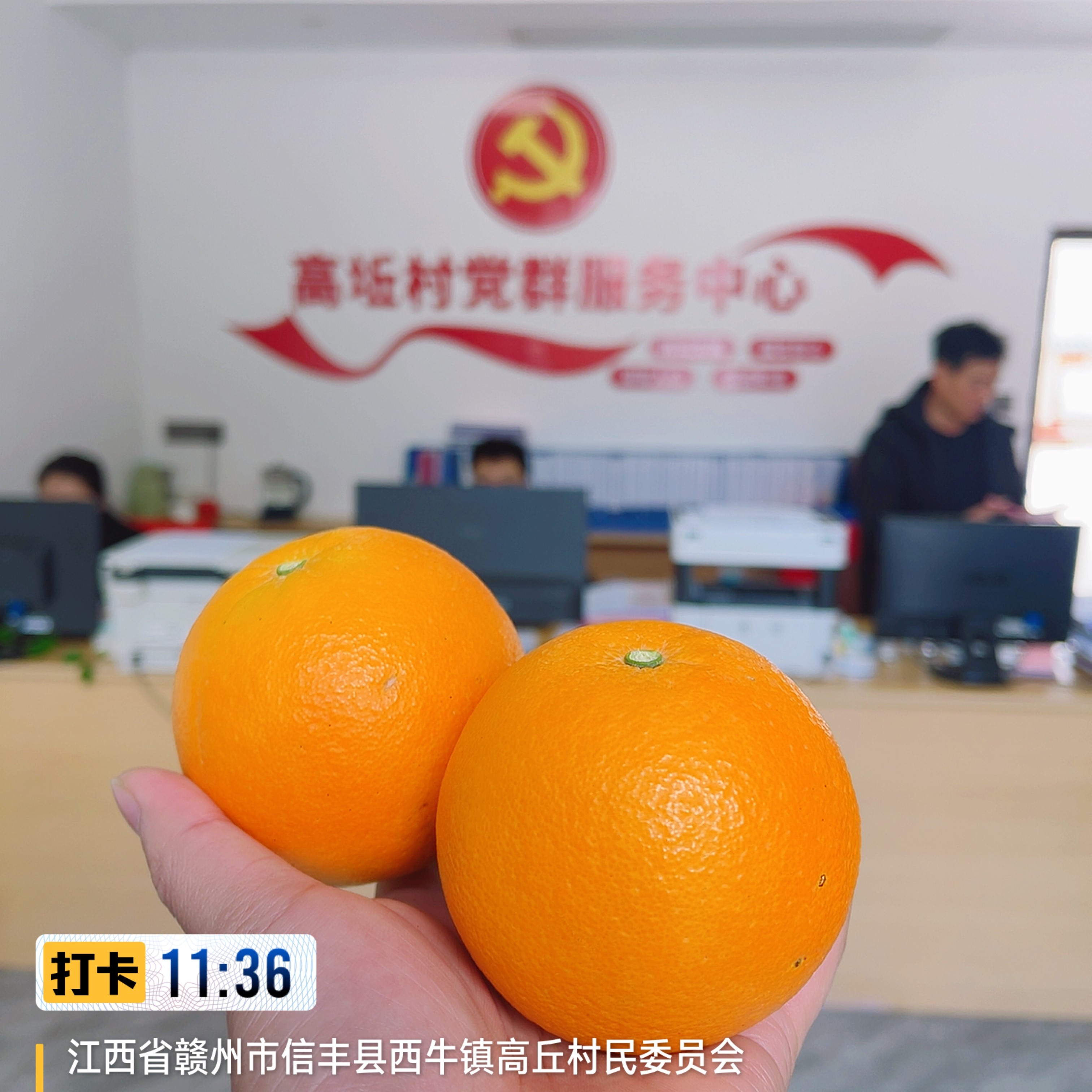 【送礼款京东包邮】赣南信丰脐橙新鲜现摘当季孕妇水果皮薄多汁