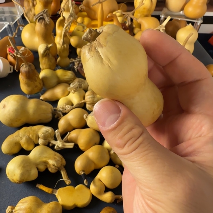 王****绒面实施规划和v吃吃吃相对湿度是谁