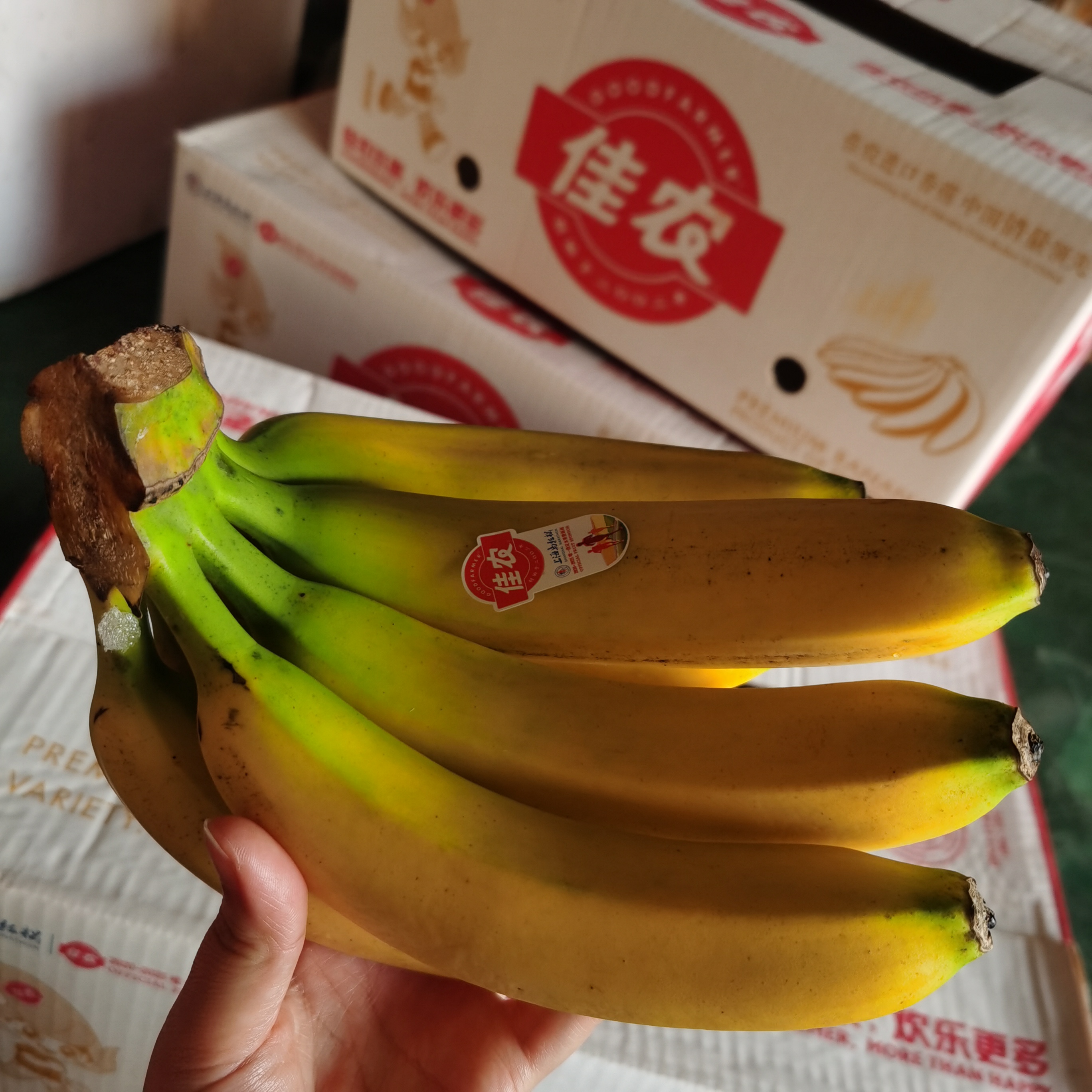 佳农香蕉5斤