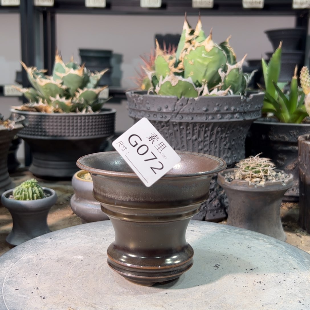 景德镇手工素量内口11.5高9.5