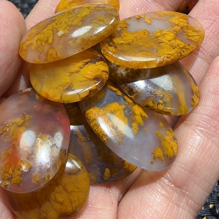 鸟***银玛瑙/玉髓未镶嵌吊坠