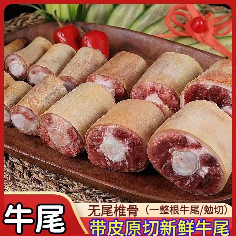 【潮汕黄母牛尾】新鲜整根牛尾巴现杀煲汤红烧牛尾骨顺丰冰鲜包邮