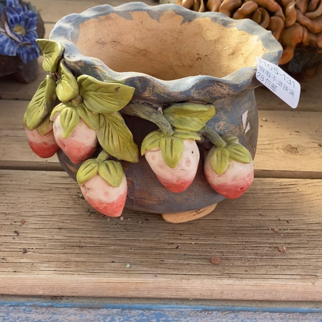 131号多肉盆口径11