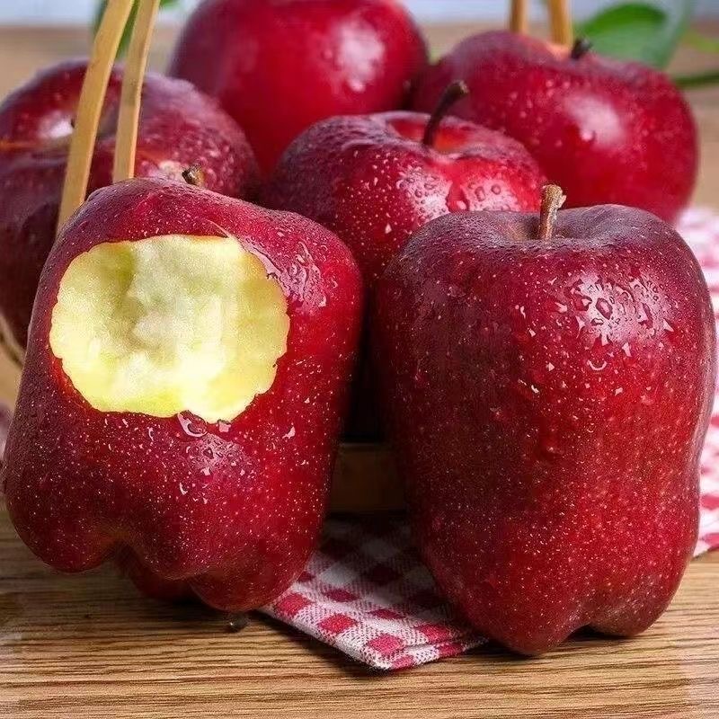 甘肃天水花牛苹果水果新鲜5/10斤包邮粉面刮泥应季蛇果