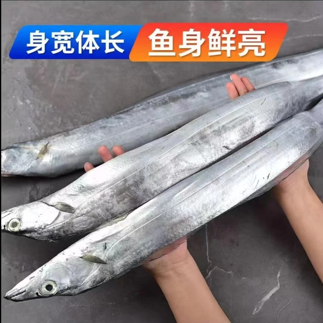 新鲜整条无冰带鱼四指宽自然海域冷冻到手2kg