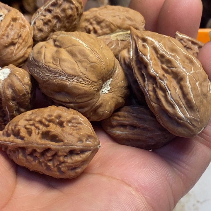 文玩核桃吊坠东北特产220