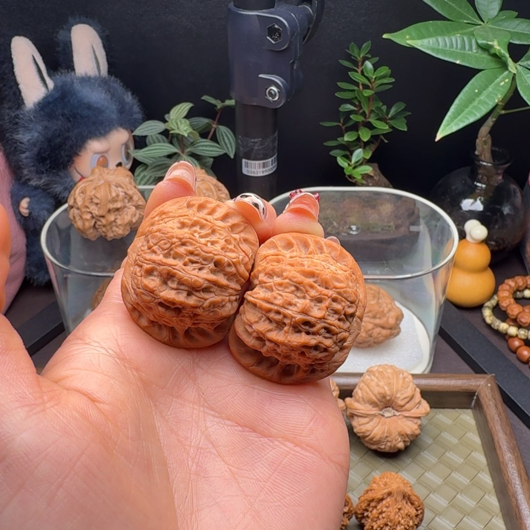 L***）龙脊菩提把件全品水晶粉皮血麒麟38