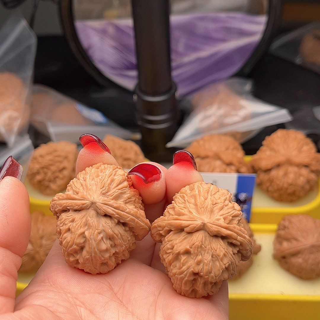 文玩核桃把件白狮子38全品