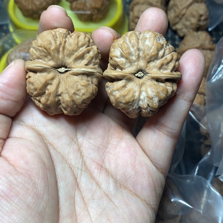 王***乐文玩核桃把件蛤蟆36