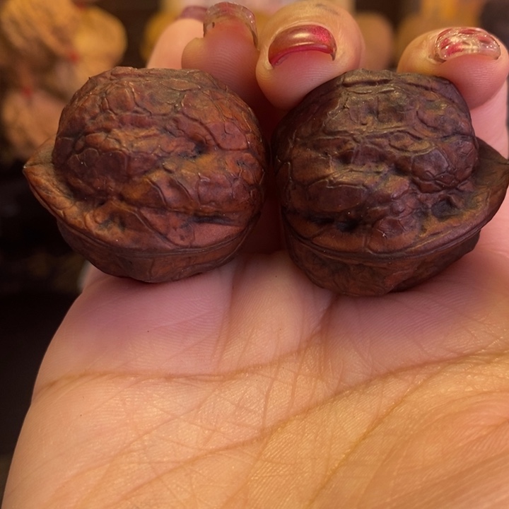 吊坠文玩核桃17七彩铁鹦鹉