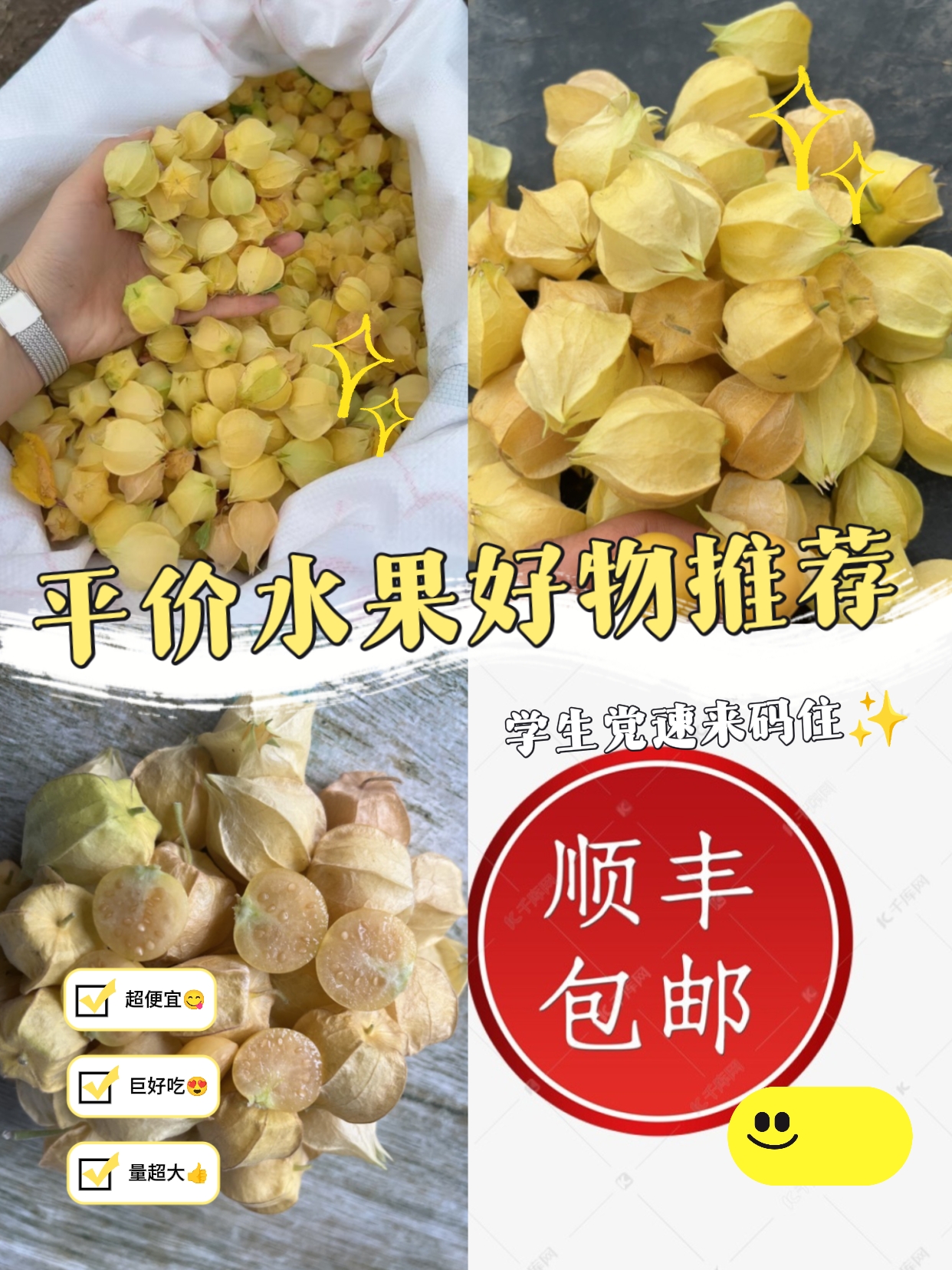 无品牌新鲜采摘大地头茬菇娘果产地直发顺丰空运