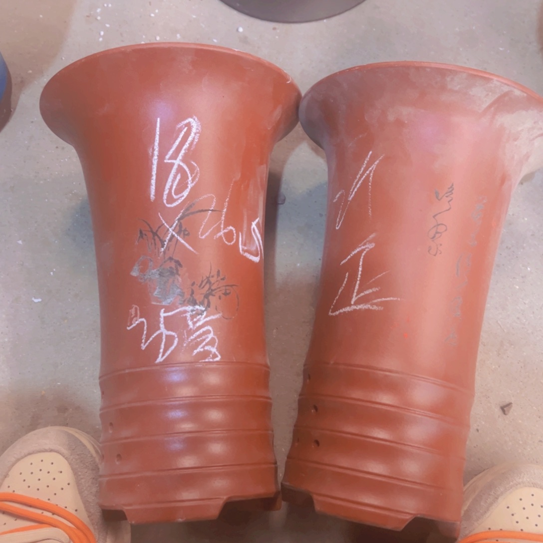 紫砂35……………………………………