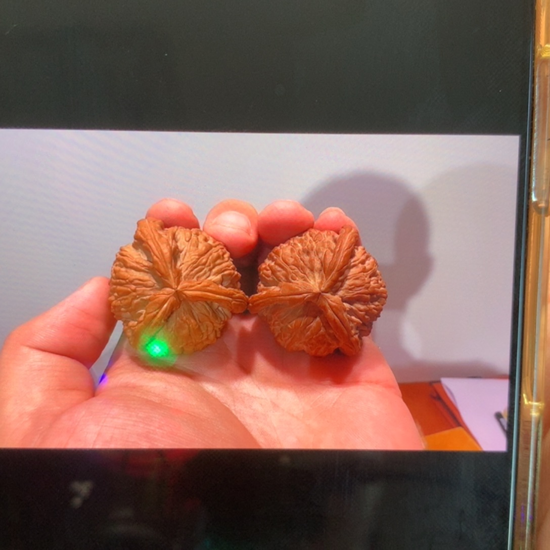 ****鑫把件文玩核桃白奔